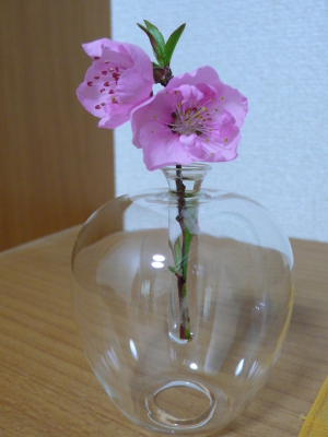 ももの花